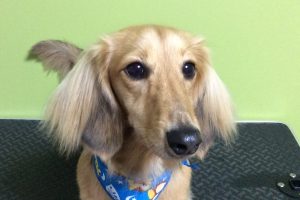 10月のお友達☆