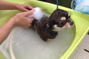 10月のお友達☆