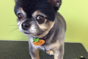 10月のお友達☆