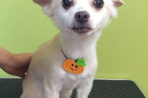 10月のお友達☆