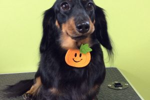 10月のお友達☆