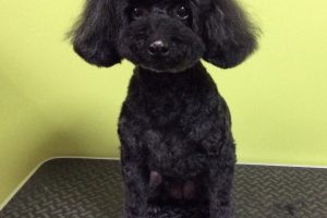 10月のお友達☆