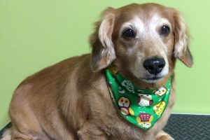 10月のお友達☆