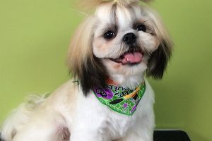 10月のお友達☆