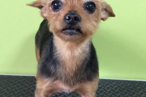 10月のお友達☆