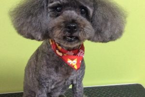 10月のお友達☆