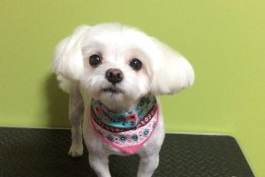 10月のお友達☆