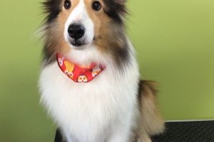 10月のお友達☆