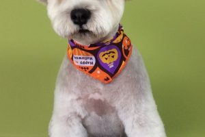 10月のお友達☆