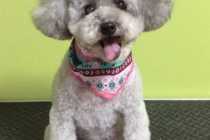 10月のお友達☆