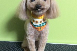 10月のお友達☆