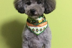 10月のお友達☆