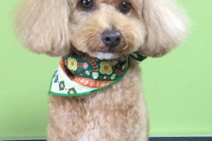 10月のお友達☆