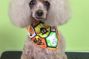 10月のお友達☆