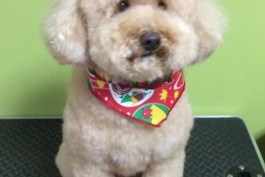 10月のお友達☆