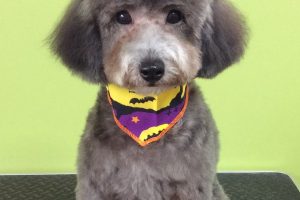 10月のお友達☆