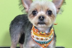 10月のお友達☆