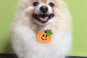 10月のお友達☆