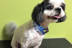 10月のお友達☆