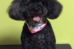 10月のお友達☆