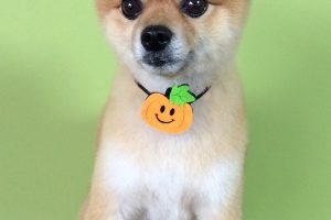 10月のお友達☆