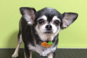 10月のお友達☆