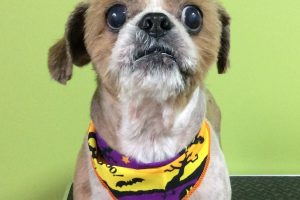 10月のお友達☆