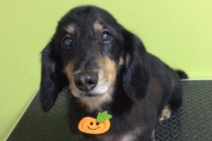 10月のお友達☆