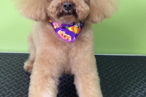 10月のお友達☆