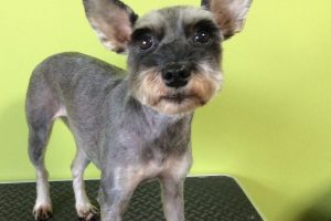 10月のお友達☆