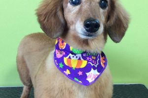 10月のお友達☆