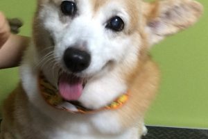 10月のお友達☆