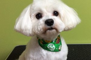 10月のお友達☆