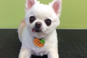 10月のお友達☆