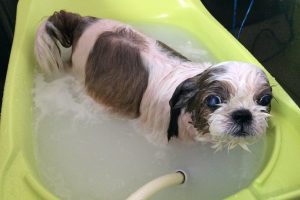 10月のお友達☆