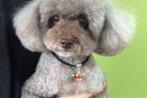 10月のお友達☆