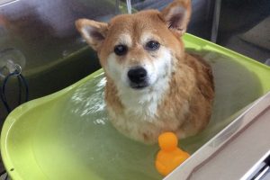 10月のお友達☆