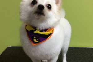 10月のお友達☆