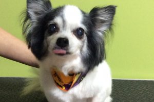 10月のお友達☆