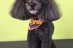 10月のお友達☆