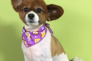 10月のお友達☆