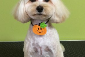 10月のお友達☆