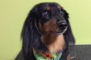 10月のお友達☆