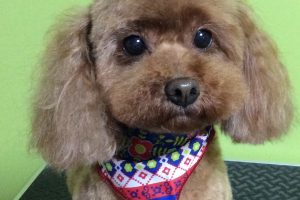 10月のお友達☆