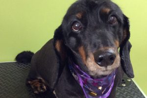 10月のお友達☆