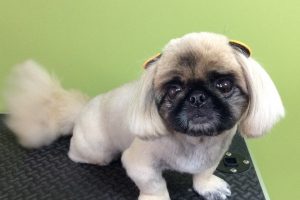 10月のお友達☆