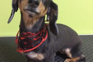 10月のお友達☆