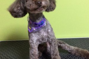 10月のお友達☆