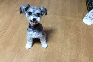お泊り☆