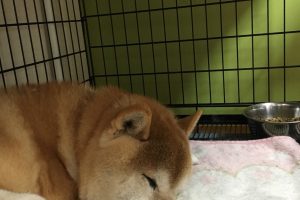 10月のお友達☆